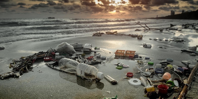 What are Hazardous Wastes and How to Declare Hazardous Waste?